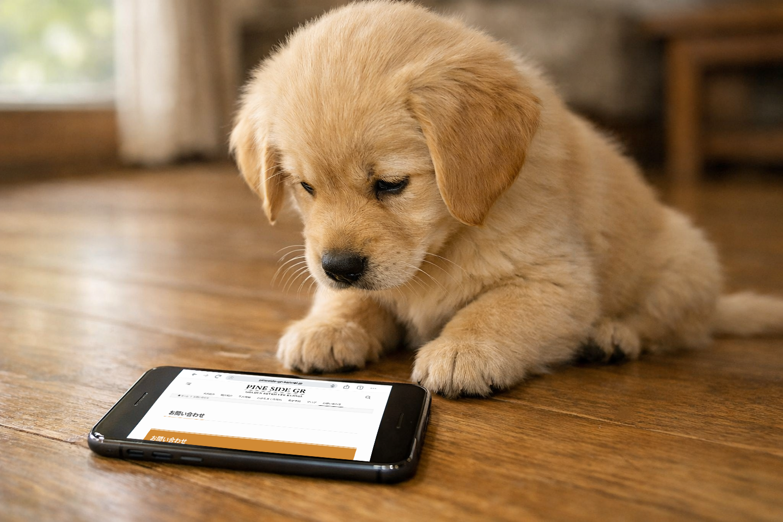 お問合せ・見学予約