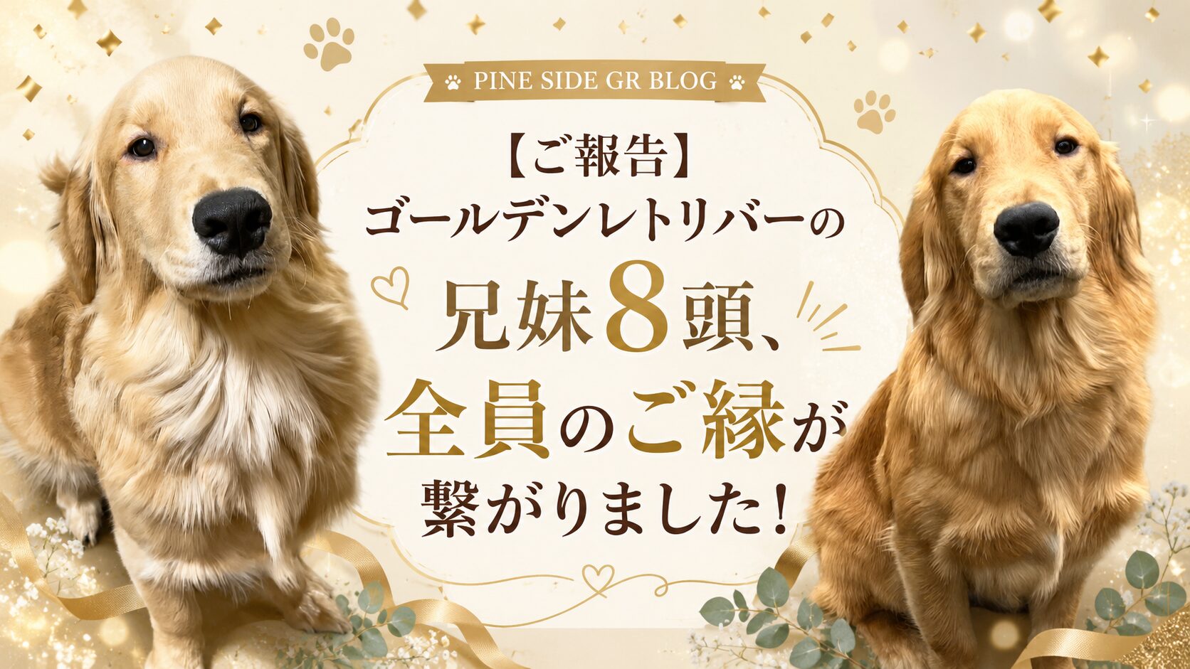 【ご報告】ゴールデンレトリバーの兄妹8頭、全員のご縁が繋がりました!_PINE SIDE GR