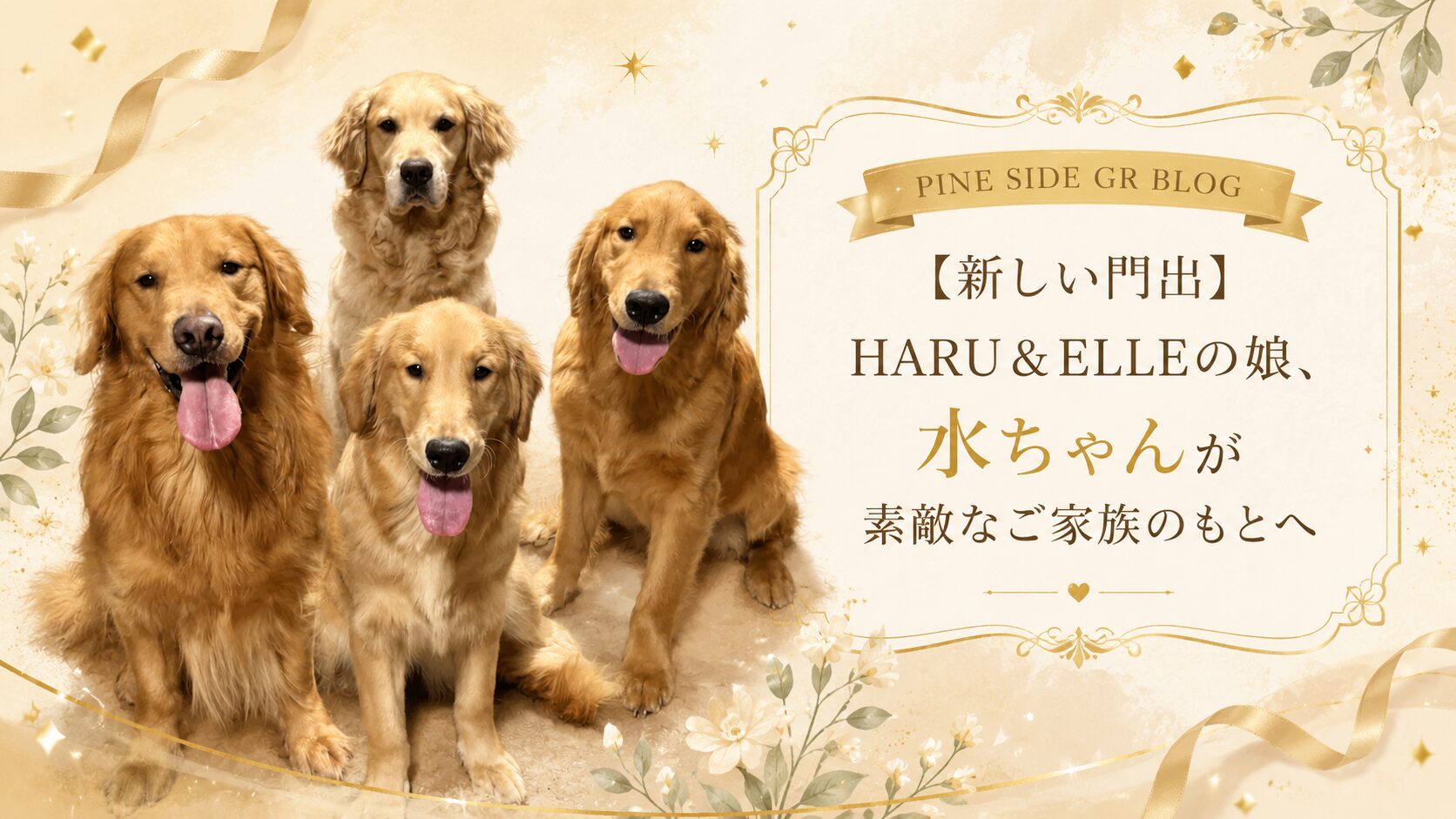 【新しい門出】HARU&ELLEの娘、水ちゃんが素敵なご家族のもとへ_PINE SIDE GR