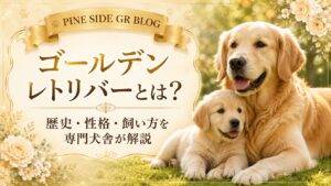 ゴールデンレトリバーとは？歴史・性格・飼い方を専門犬舎が解説 | PINE SIDE GR｜山口県のゴールデンレトリバー専門ブリーダー・犬舎【公式】
