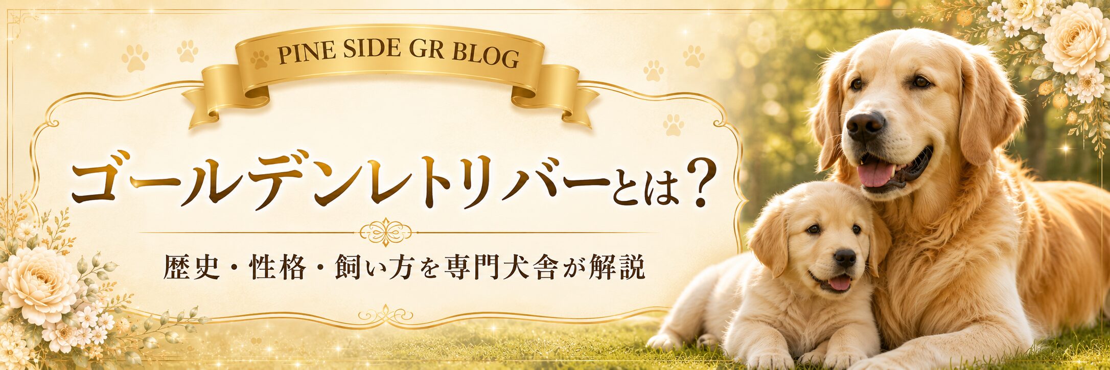 ゴールデンレトリバーとは？歴史・性格・飼い方を専門犬舎が解説 | PINE SIDE GR｜山口県のゴールデンレトリバー専門ブリーダー・犬舎【公式】
