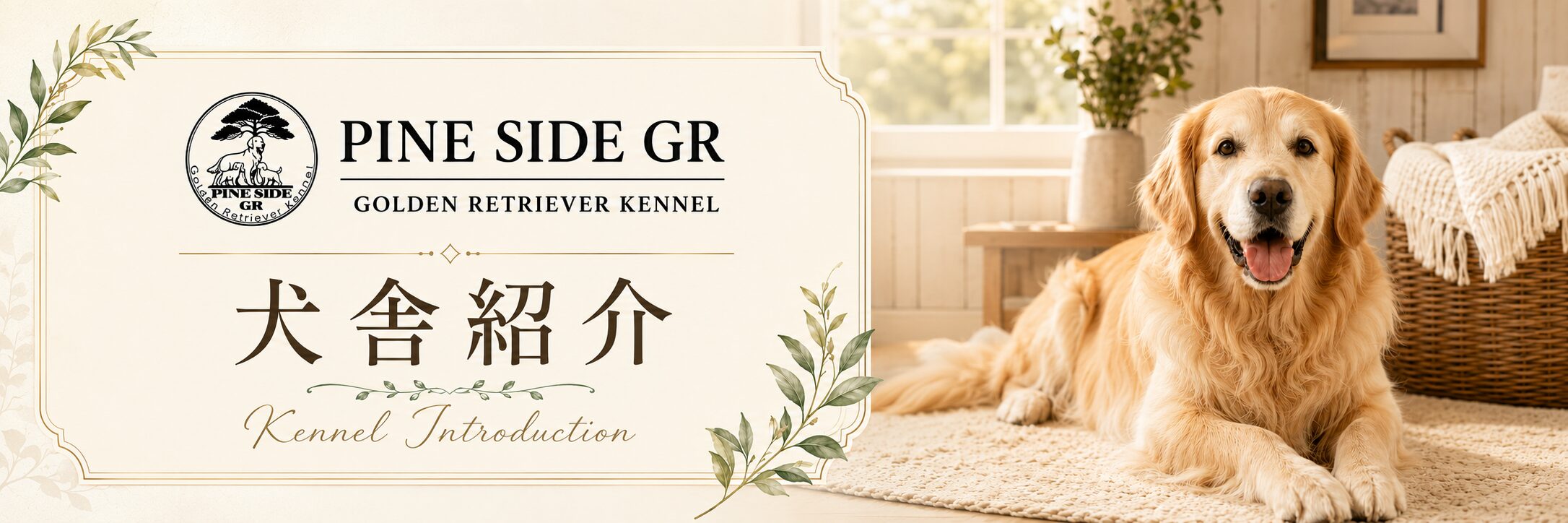 山口県のゴールデンレトリバー専門犬舎 PINE SIDE GRの紹介