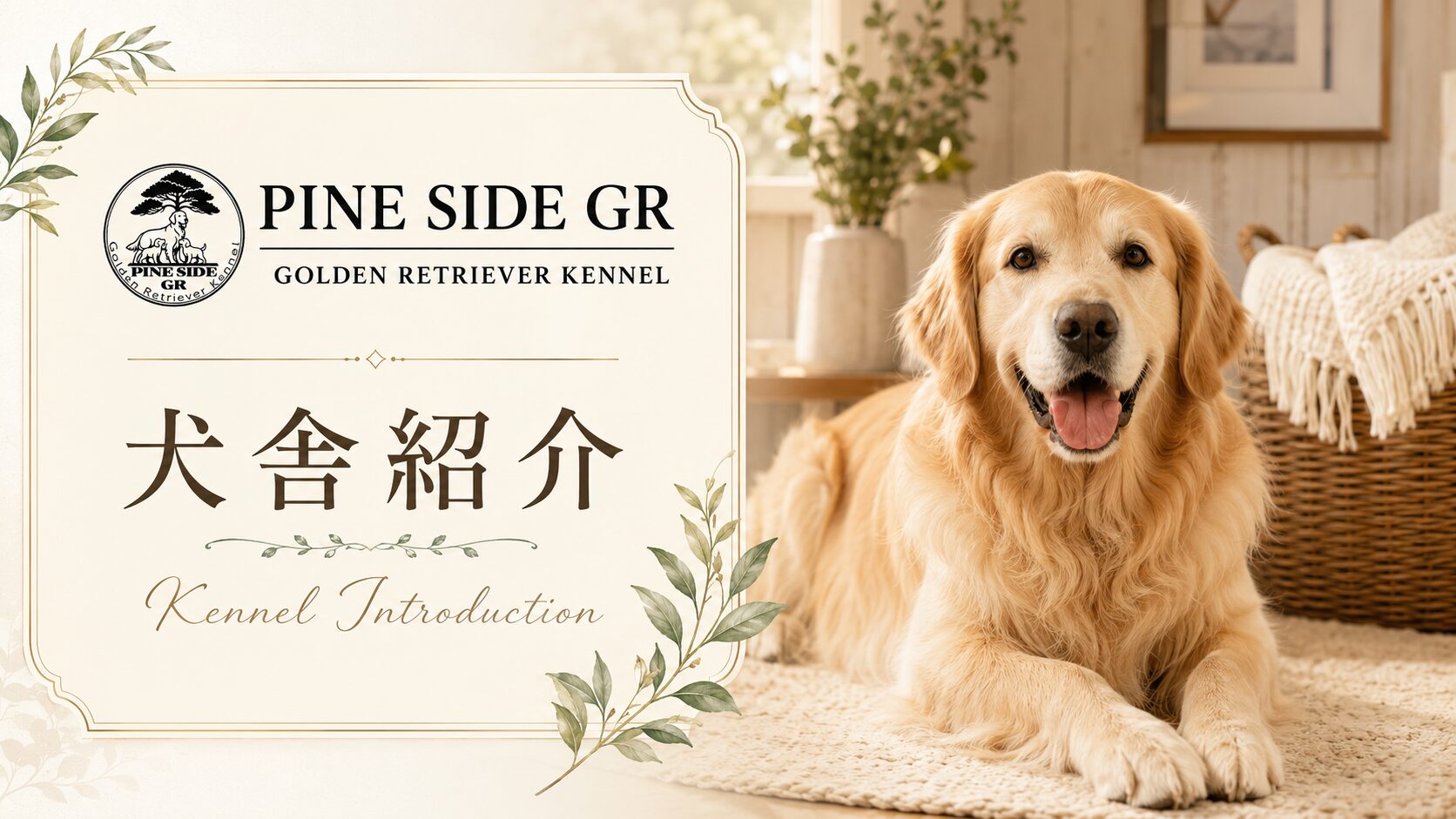 山口県のゴールデンレトリバー専門犬舎 PINE SIDE GRの紹介