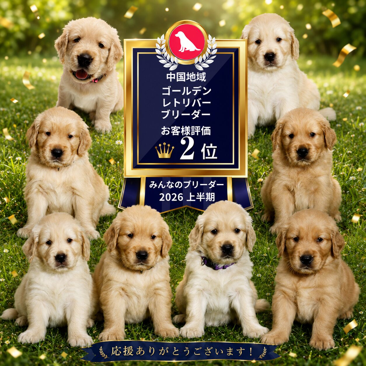 みんなのブリーダー 中国地域・ゴールデンレトリバー部門 お客様評価第2位（2026年上半期）