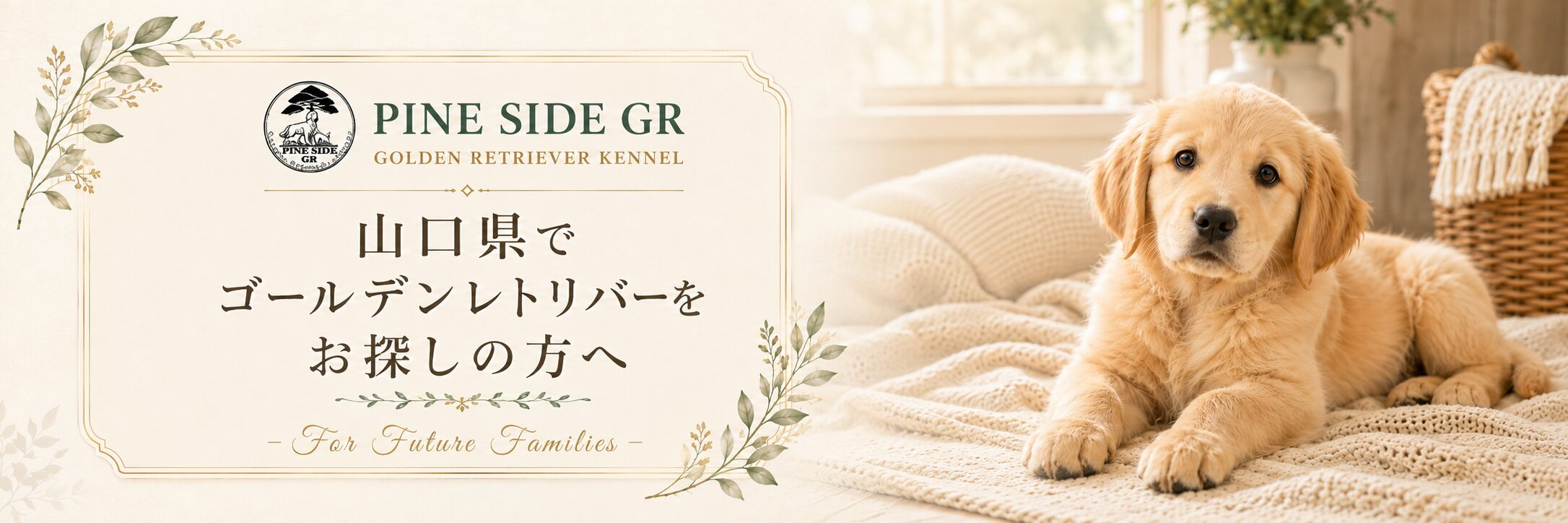 山口県でゴールデンレトリバーをお探しの方へ - For Future Families -|PINE SIDE GR