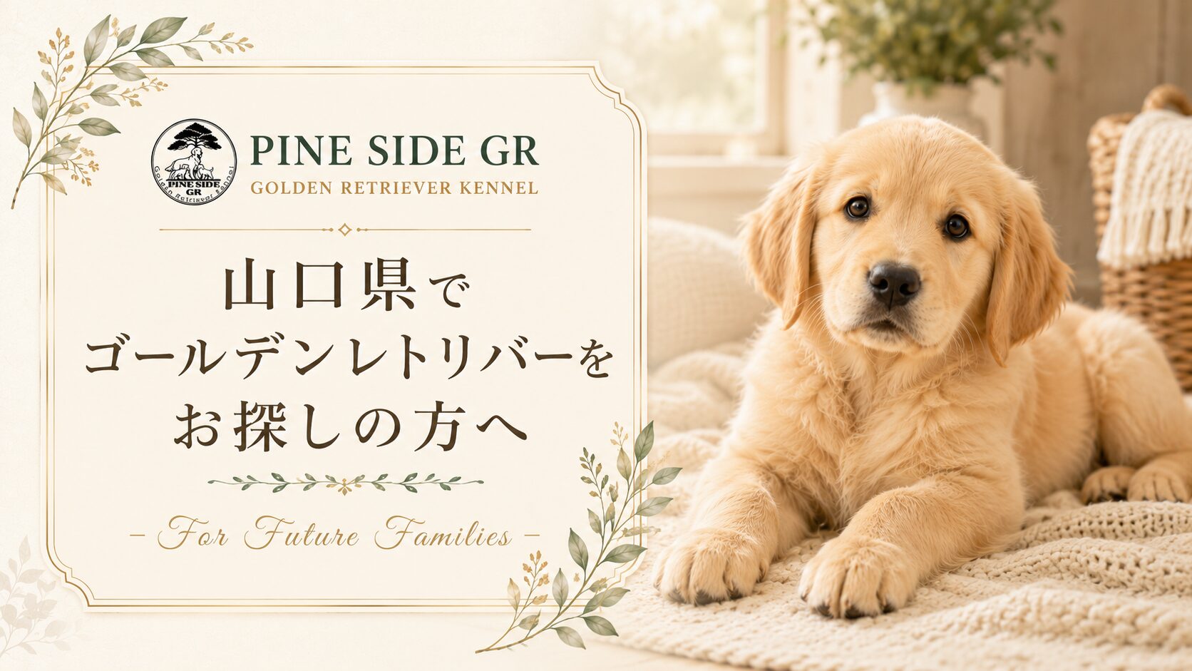 山口県でゴールデンレトリバーをお探しの方へ - For Future Families -|PINE SIDE GR